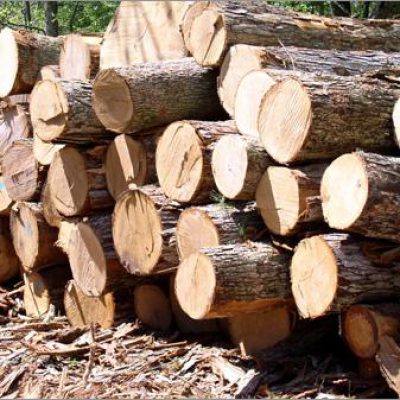 kayu-bulat kayu-bulat